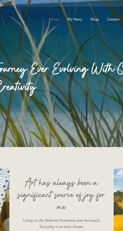 Artist Portfolio Website — view 5