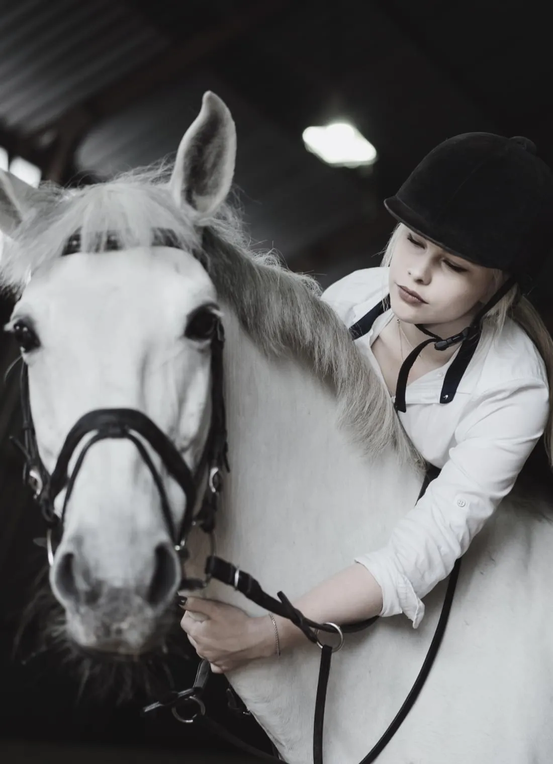 Equine Training Centre Website — view 2