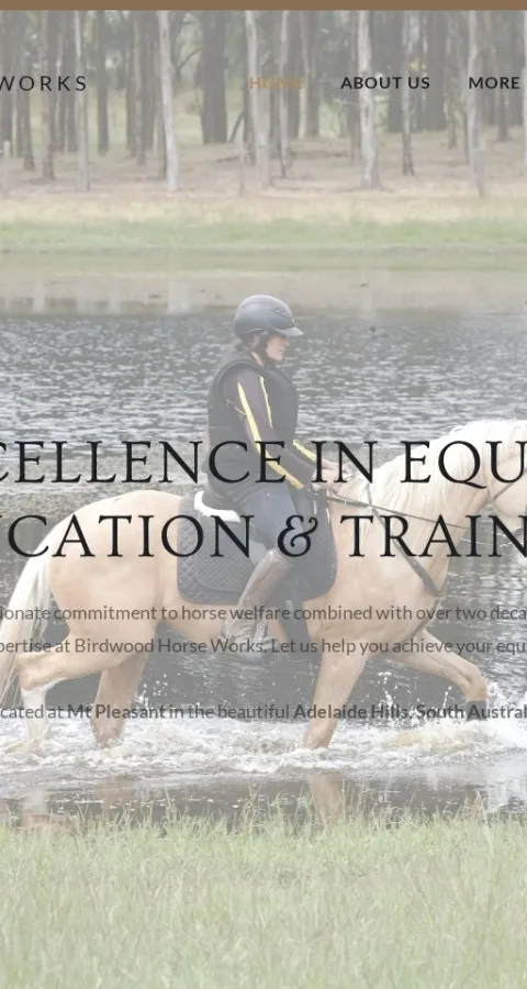 Equine Training Centre Website — view 5
