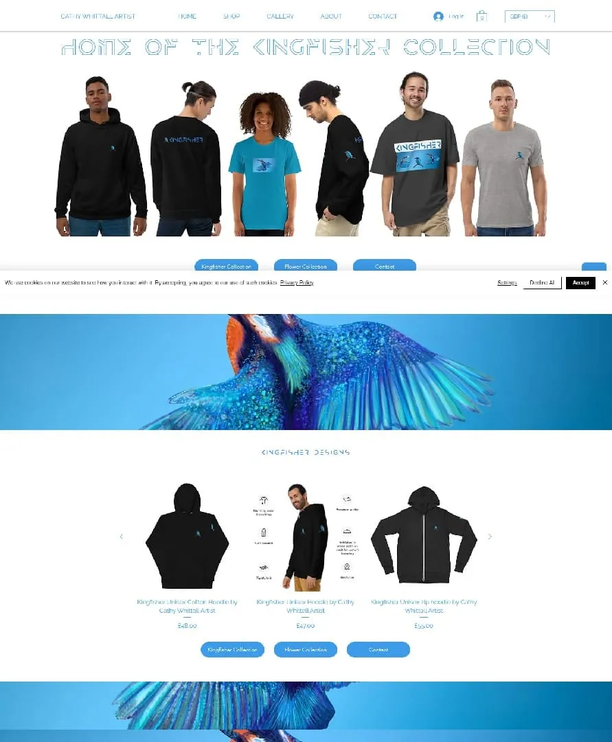 Web Design Agency Website — view 4